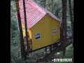 Treehouse Villa Chail - Shimla Himachal Pradesh ❤️