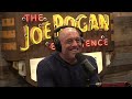 Joe Rogan Experience #2177 - Chris Robinson