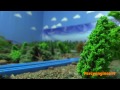 Tomy Hero of The Rails: Thomas vs Spencer Race Scene