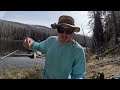 SOLO Mountain Crawfish & Trout Fishing!!! (Catch & Cook)