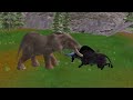 1 Zombie Buffalo Fights 1 Wild Buffalo and is Saved by 2 Giant Elephants