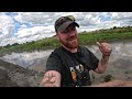 I Netted THOUSANDS of Stranded Fish From This Evaporating PUDDLE !