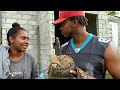 NIÑO PELOTERO ES LESIONADO POR SUS COMPAÑERO ⚾ ( BÉISBOL) // EL HAITIANO COMPALE