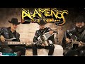 Los Alameños De La Sierra - Las Mas Cumbias Para Bailar MIX 💃🎸 Huapangos y Cumbias Sierreñas