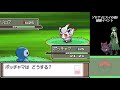 【Pokémon Platinum】Hisuian Zorua Event 【Pokémon LEGENDS Arceus】