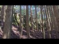 Abandoned house in Japan's mountains - no road!