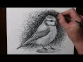 How to Draw a Blue Tit with a Pen | Scribble Art Style Drawing