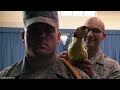 ULTIMATE US MILITARY TRAINING FAILS AND FUNNY MOMENTS 2020