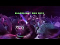 BLACKLIGHT RUN 2015 IRVINE