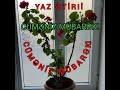 BAHAR ƏTİRLİ CÜMƏNİZ MÜBARƏK OLSUN! 08.03.2024..