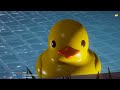 Placid Plastic Duck Simulator - Part 1