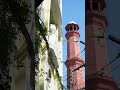 The REAL Heeramandi of Lahore l Pakistan