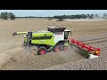 FENDT IDEAL 9T & CLAAS LEXION 8700TT am Weizen dreschen / Abfahrer FENDT 942 mit HORSCH ÜW / 4K