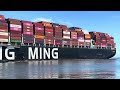 Shipspotting 4K LOS ANGELES/LONG BEACH Ports - August 2023