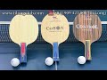 How to counter Backhand Flick style players | 3 Tips for international competition