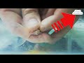 Goldfish Hatching and Breeding Videos 2 - RedCap Goldfish