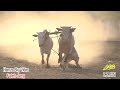Bull Race - ghazi nher - 7.7.2024 - hamza sky video fateh jang