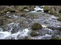 The Sounds of a Creek :: The Sleeping Helper