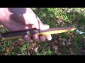 (Herbst-) Pfeife aus Japanischem Staudenknöterich (Fallopia japonica)