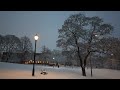 [ 4K, 60ftps ] Oslo, Norway-- Winter Attack ❄️❄️ Snow Walk🚶‍♀️❄️