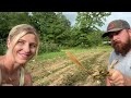 Mowing a HUGE yard with a 71 Year old TRACTOR!!!