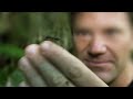 What They Discovered In Amazon Rainforest & Its River, Shocked The Whole World