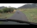 South African warthog 10/24/12