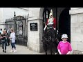 JAPAN Emperor Arrived at Horse Guards, But POOR KING’S HORSE QUITS! AGAIN & AGAIN