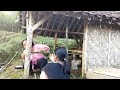 cara hidup di sawah dan bikin rumah bambu