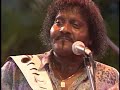 Albert Collins & The Icebreakers - Same old thing (giorno)