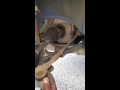 Bad Drivers Side CV Axle 06 Chevy Impala SS