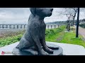 🇨🇦 WHITE ROCK SURREY, BC  / CANADA'S LONGEST PIER / CANADA VLOG