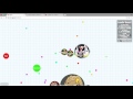 GET UNBANNED FROM AGARIO???