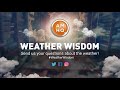 What Is a Supercell? | Weather Wisdom