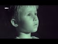 Wie sehen Fledermäuse im Dunkeln? | OLI's Wilde Welt | SWR Kindernetz