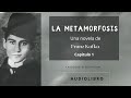La metamorfosis de Franz Kafka. Audiolibro completo voz humana.