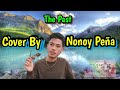 Cover By Nonoy Peńa | Nonstop Love Song | Greatest Hits Ever