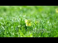 [Playlist] 🌿여름의 싱그러움을 느끼며 듣는 피아노찬양 모음집 / 기도음악 / 묵상음악 / Hymn Piano / CCM PIANO PLAYLIST