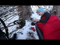 Sleeping under a Spruce tree - Solo overnight winter camp