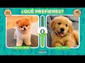 🔁 ¿QUÉ PREFIERES? ¿Perrito o Gatito?🐶🐈 | Juego de elecciones | ✨ ANIMALITOS ADORABLES ✨ #mono