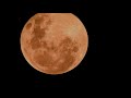 Super Pink Moon. 2000mm Optical Zoom Lens.