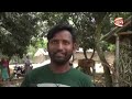 ভুট্টার গাছ থেকে গুড় তৈরি রংপুরের এক কৃষকের | Channel 24