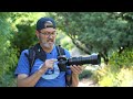 Panasonic Lumix G9 II Review - Great Wildlife, Bird & Sports Camera!