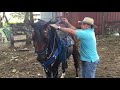 Como montar un caballo inquieto