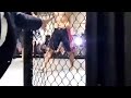 Snippets of my last MMA fight