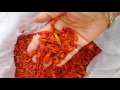 Birds eye chilli. India orign