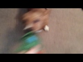 Maverick and I play tug of war