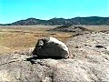 View From the Top of Independance Rock, in Wyoming -September 2010