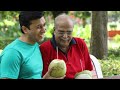 Harvesting Millions of Coconuts For Worldwide Distribution!