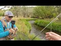 Fly Fishing - Gorgeous Trout Stream in North East Victoria